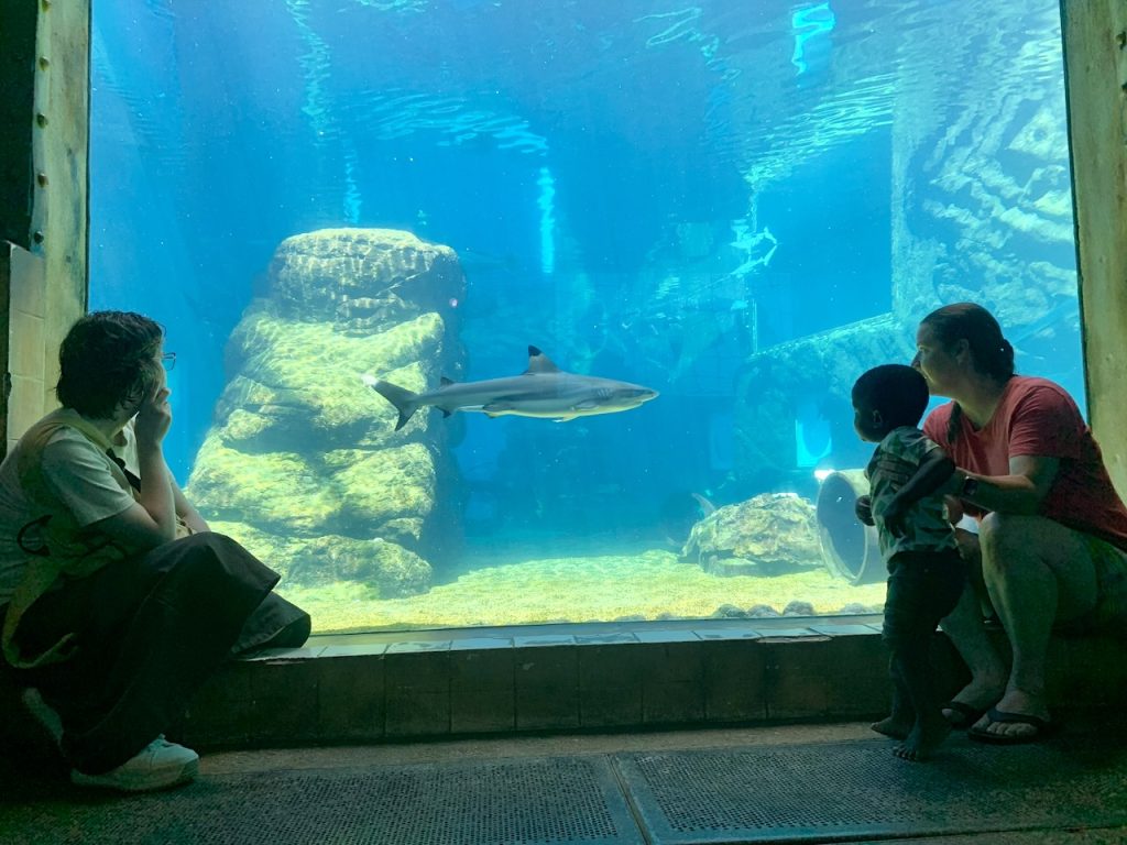 Acquarium with Caleb